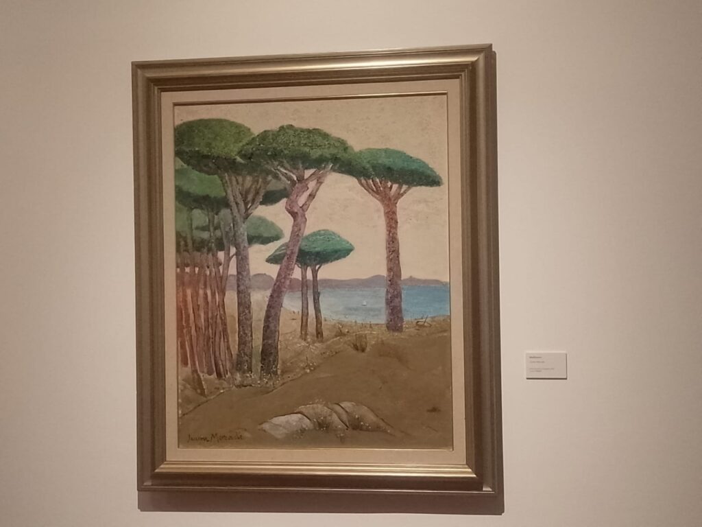 mediterrani jaume mercade