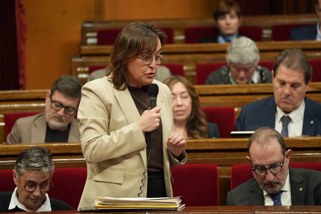 paneque al parlament marc 26
