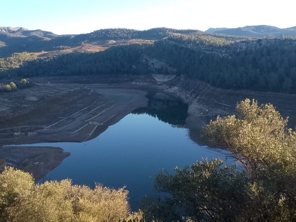 panta dels guiamets des 25 buit