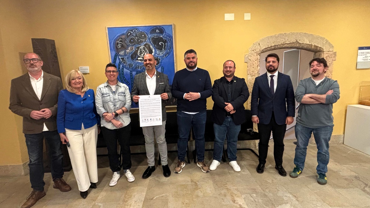 torredembarra declaració institucional ictus