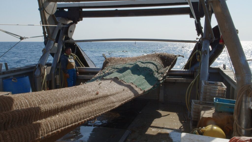 activitat pesca cambrils