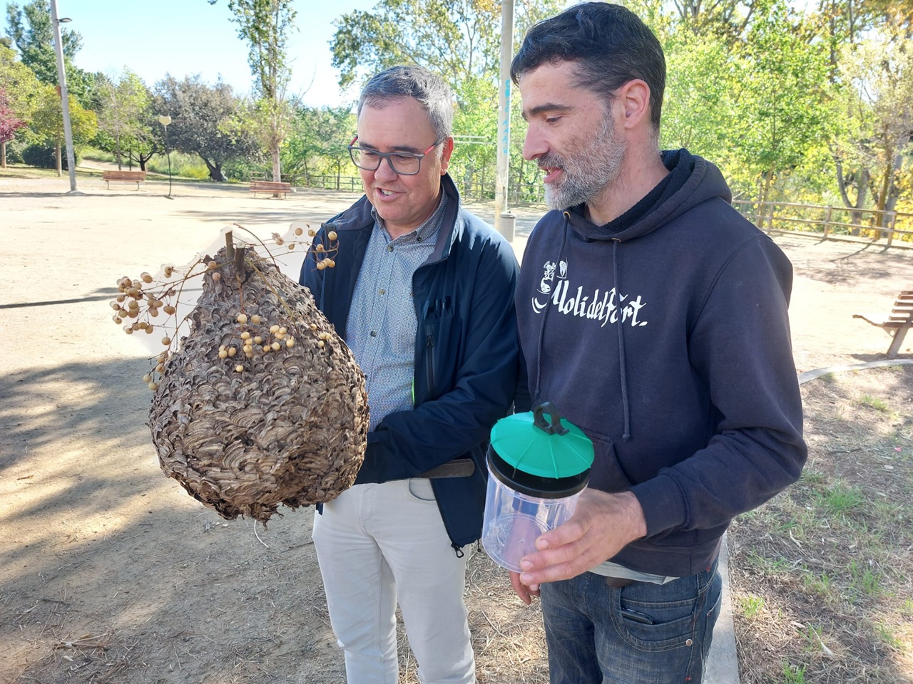campanya control vespa asiàtica valls