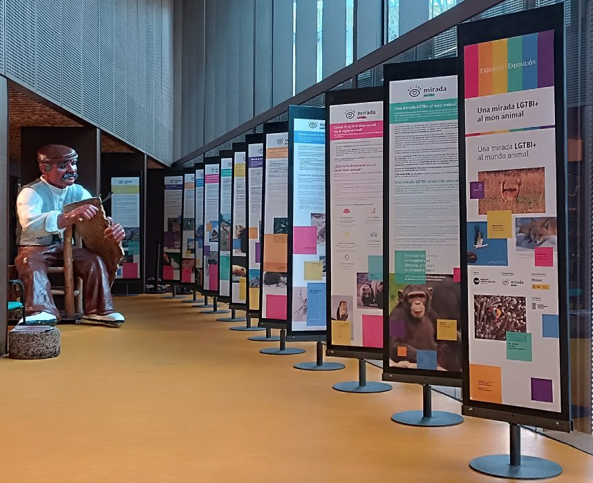 expo una mirada lgtbi món animal