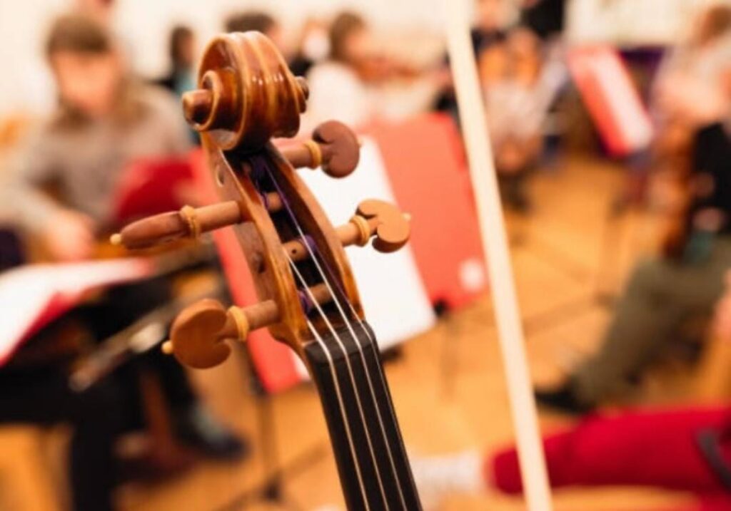 instrument corda conservatori reus