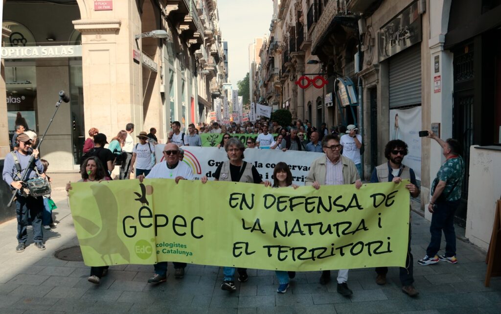 manifestació no a la mat