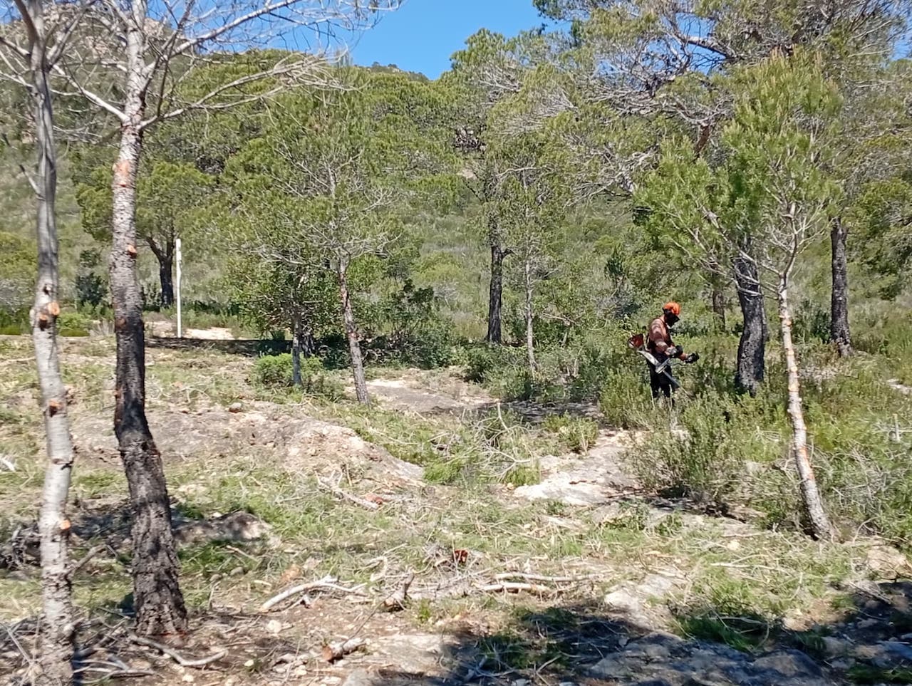 vandellos incendis