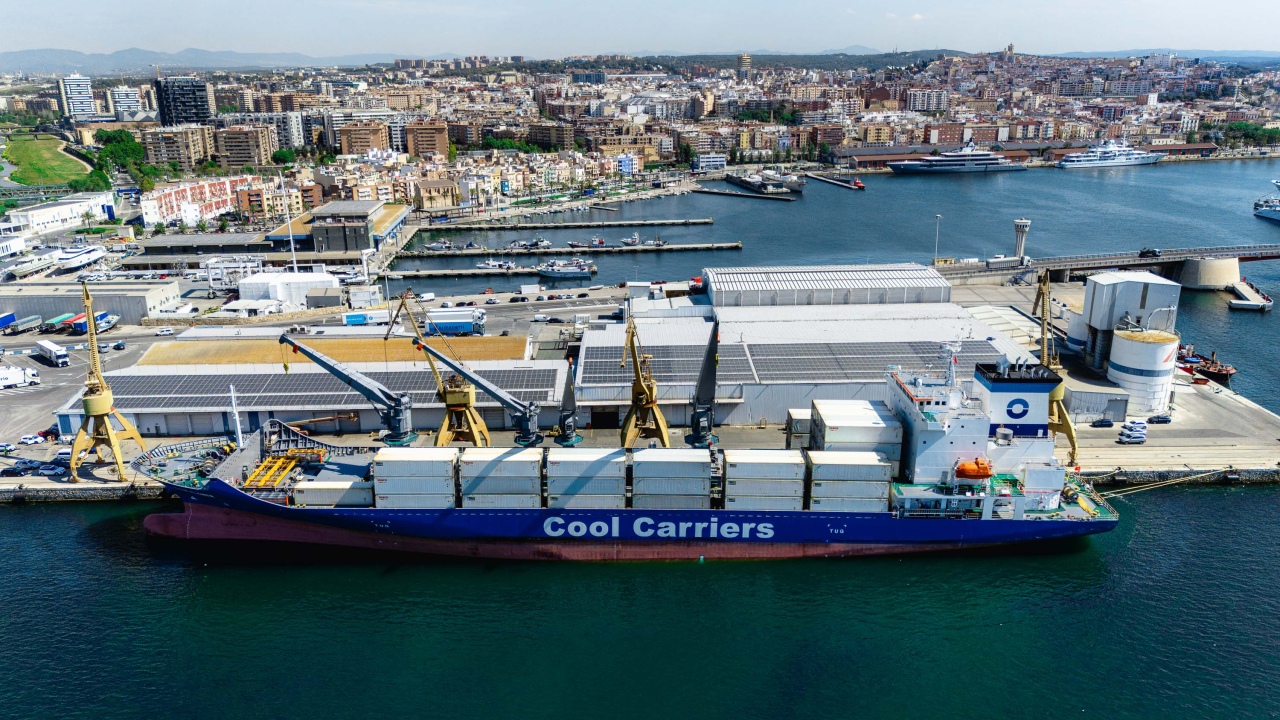 cool carriers port kiwie