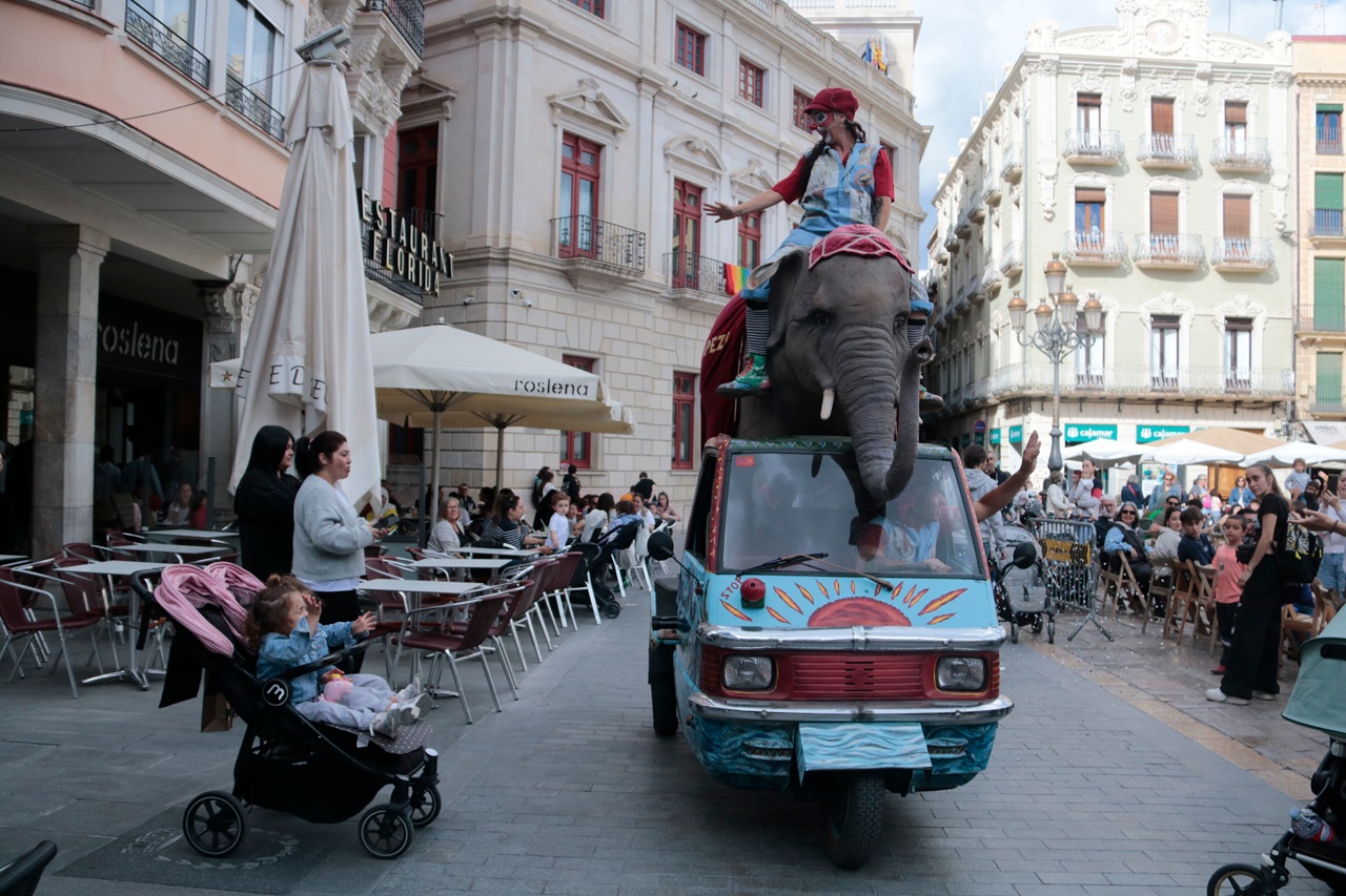 elefant trapezi 2026