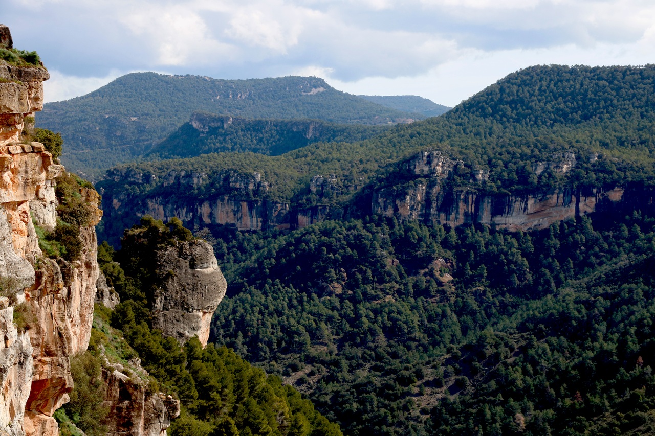 espai natural protegit parc muntanyes de prades