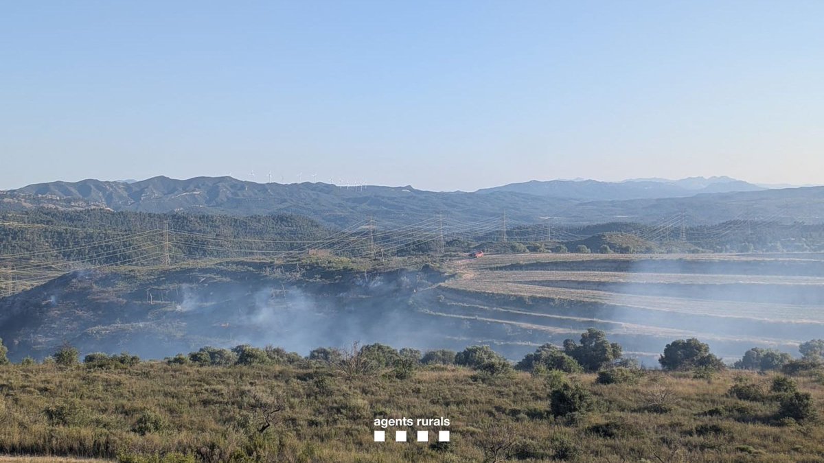 incendi vinebre