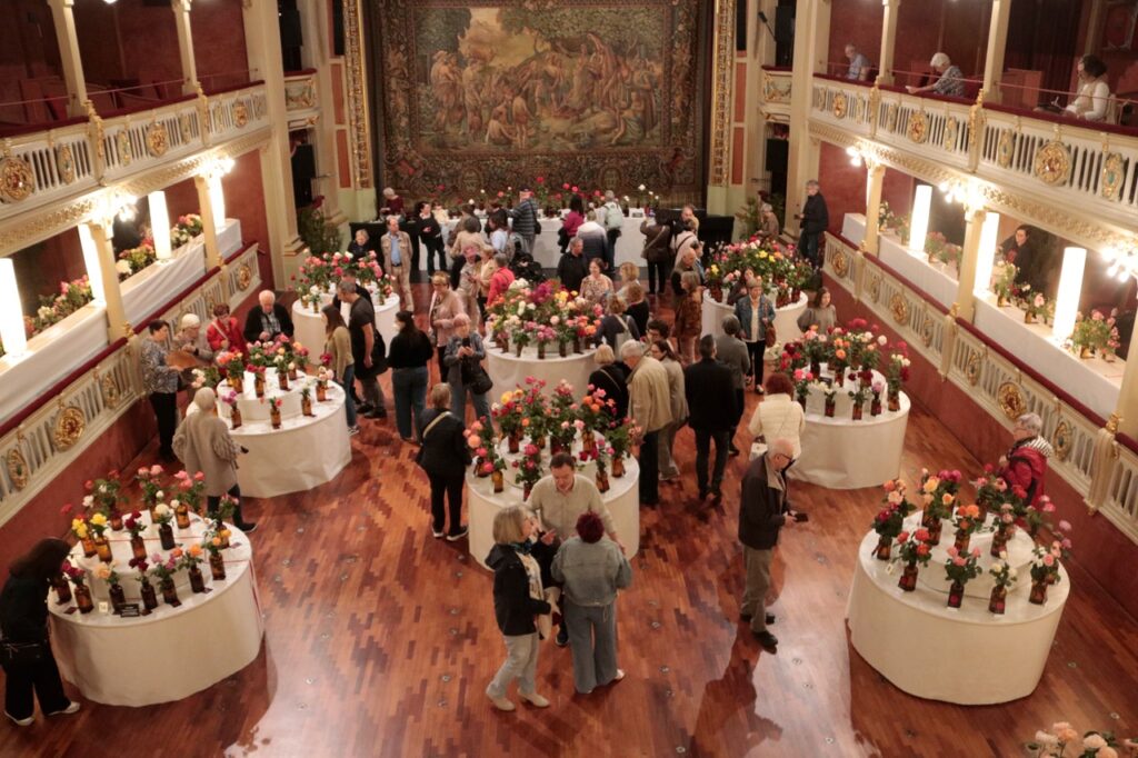 platea bartrina concurs roses 2026