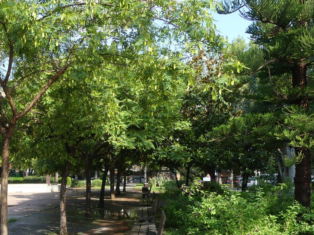 salou refugi climàtic 2026