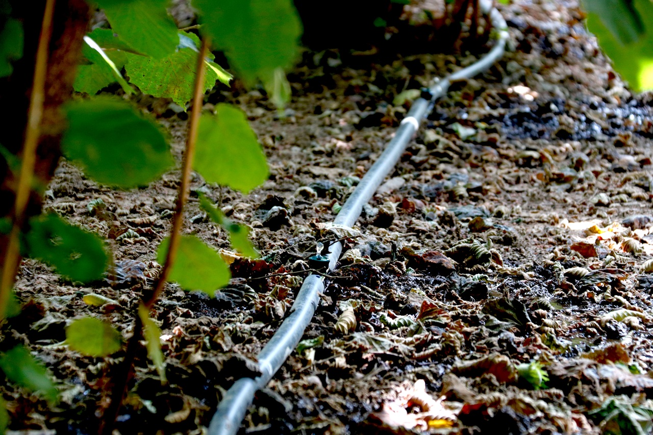 tub de reg la selva del camp