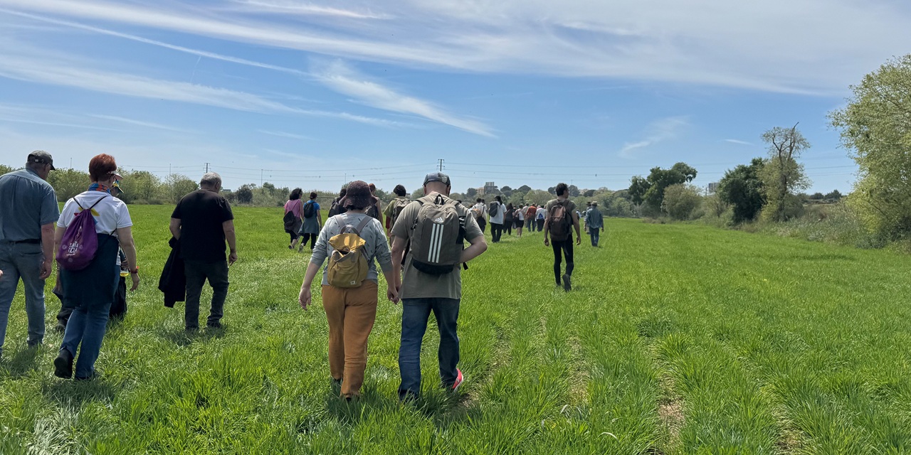visita horts tgnacaminada