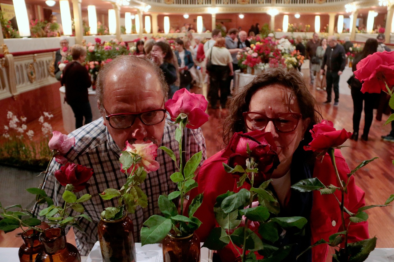 visitants oloren roses concurs roses 2026