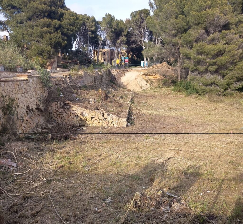 zona dunar desbrossada morrots