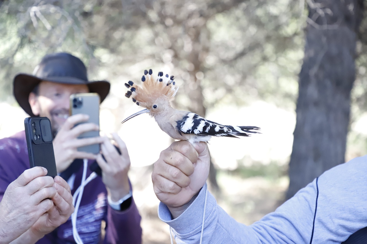 bioblitz cap salou
