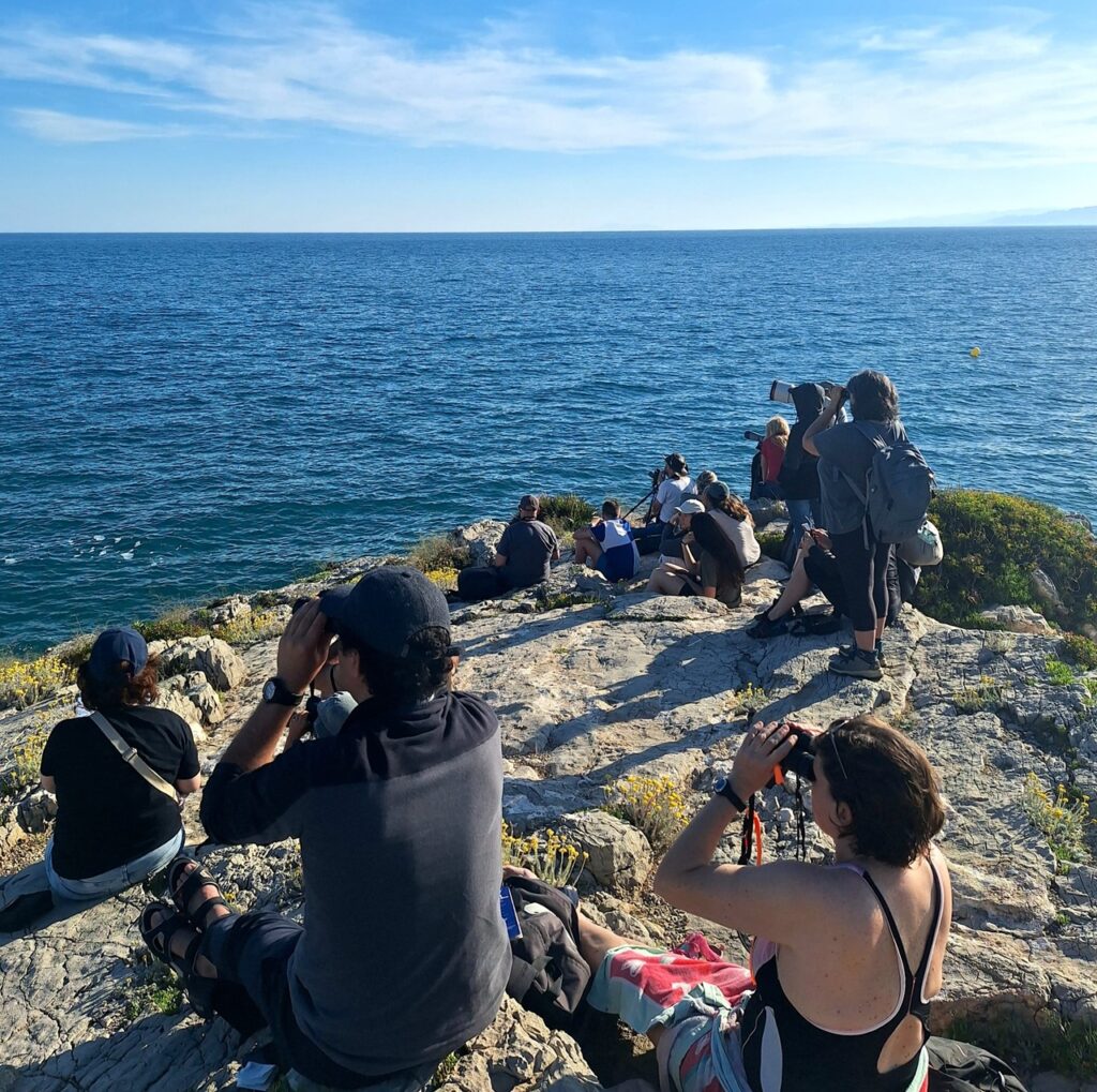 bioblitz salou observació