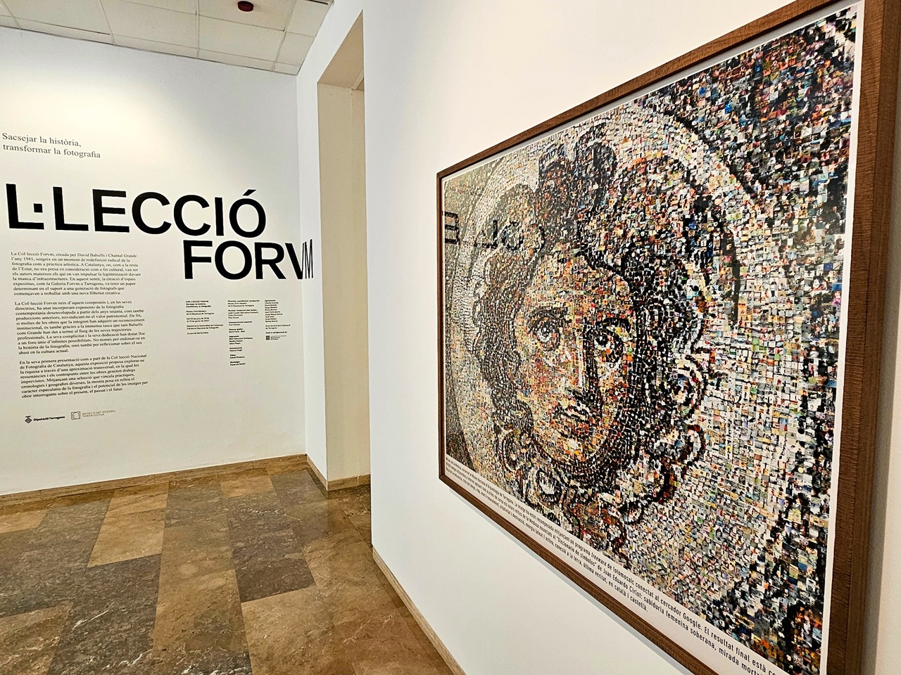 coleccio forvm portada mamt