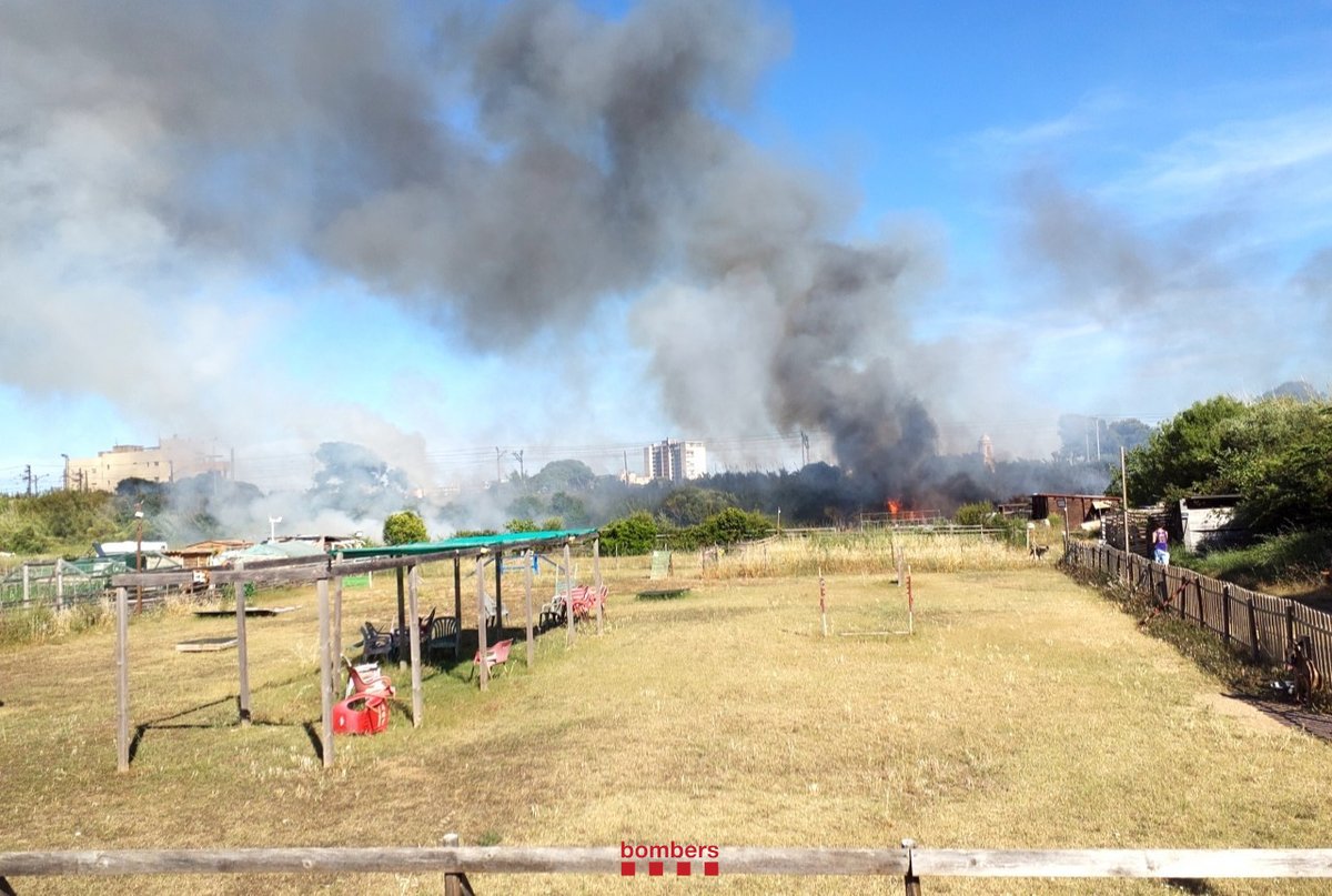 foc canyes vies comaruga