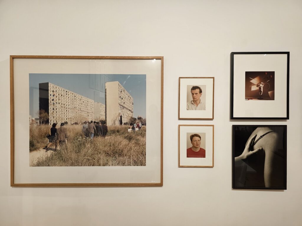 obres coleccio forum