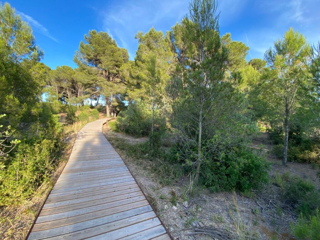 ruta del pla del maset