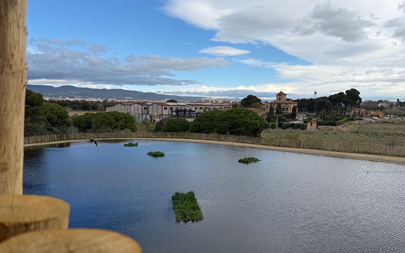 bassa dels anecs