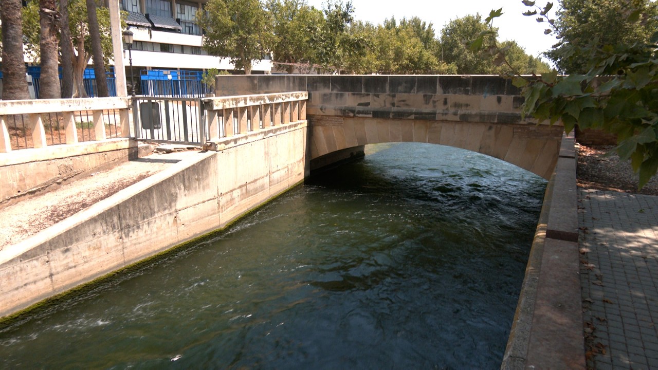 canal dret ebre amposta