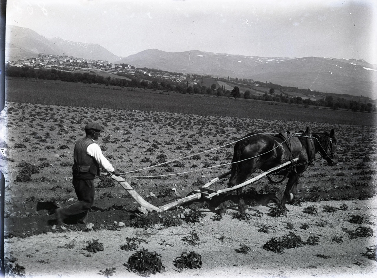 fons granja roca 2