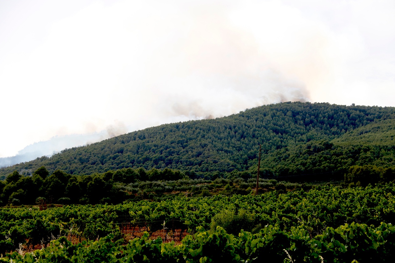 incendi aiguamurcia fum recurs