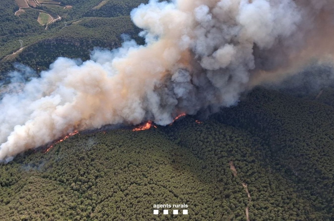 incendi aiguamurcia i querol