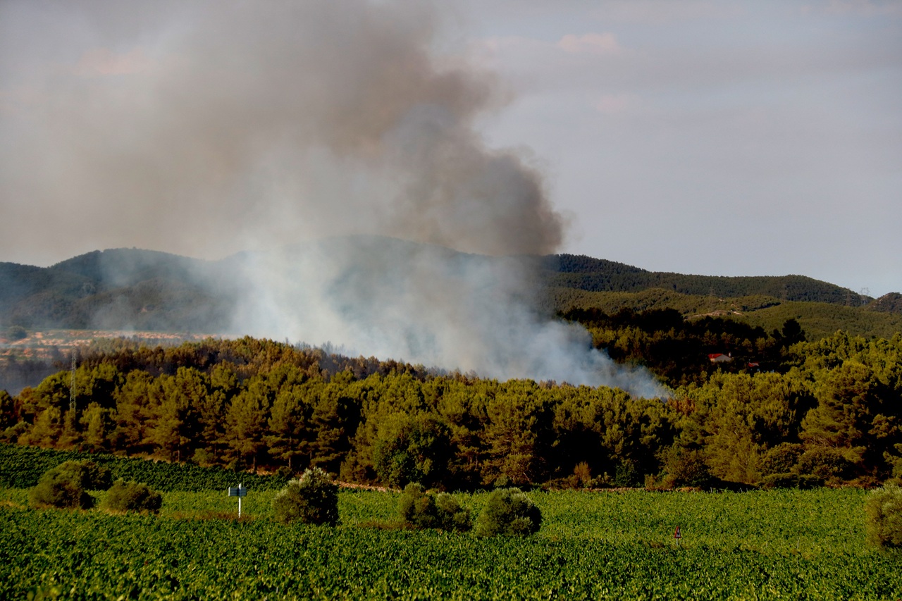 incendi entre aiguamúrcia i st jaume domenys