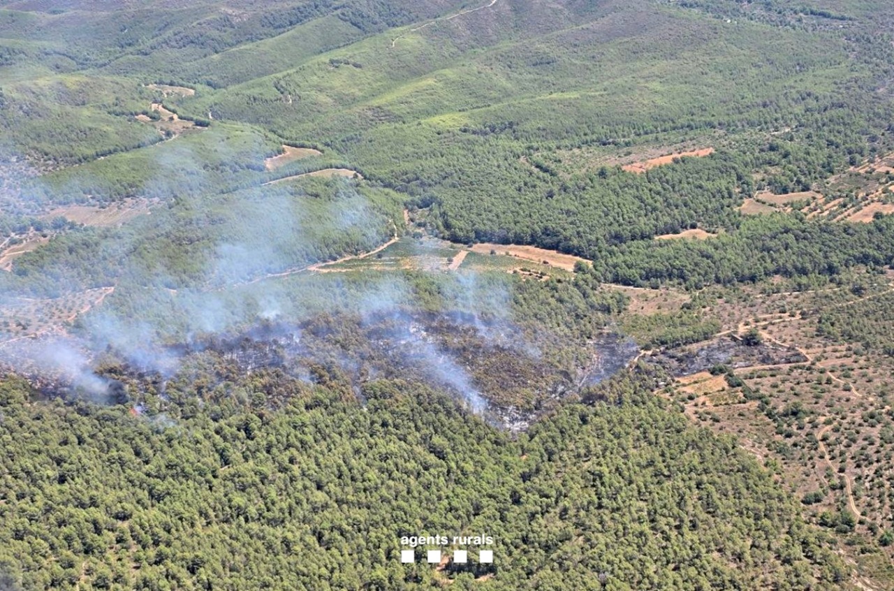 incendi masllorenc aeria