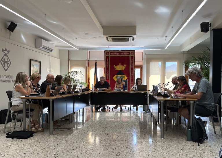 plenari vandellos i hospitalet jul 2026