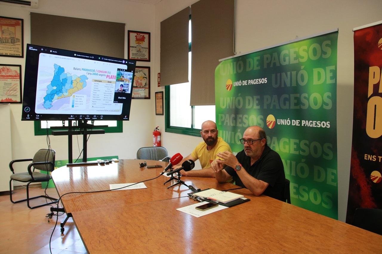 sergi claramunt i salomó torres