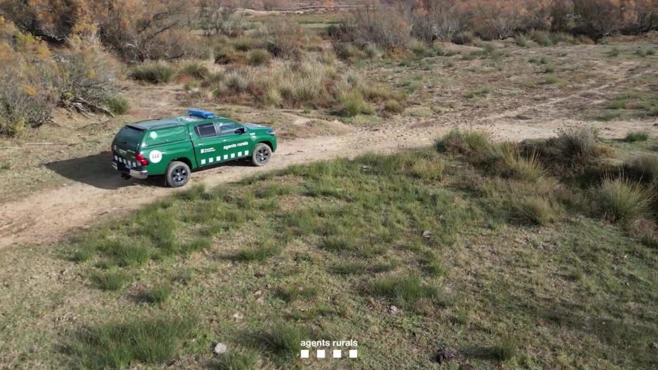 agents rural arxiu bosc