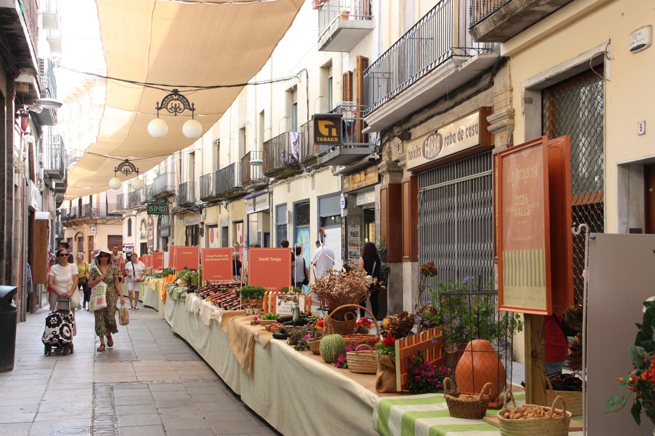 firagost 2026 carrer de la cort