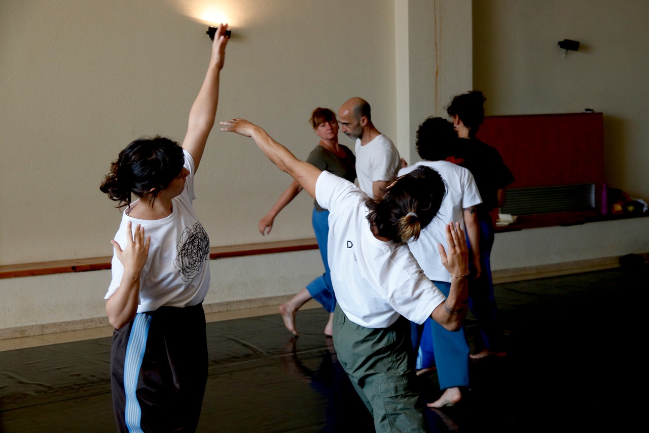 taller danseu festival 2026